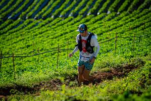 BIB: 
                            <button type="button" onclick="openModal(19160530)" class="btn btn-primary btn-sm float-right btn-popup" data-toggle="modal" data-target=".modal-high-quality">
                        <i class="fas fa-shopping-cart"></i> Add to Cart
                    </button>
                                            <button type="button" onclick="isThisMe(19160530, true)" class="btn btn-success btn-sm float-right btn-popup btn-isme hidden" data-toggle="tooltip" data-placement="bottom" title="นี่คือรูปของคุณใช่ไหม คลิกที่นี่เพื่อเอาเข้าอัลบั้ม">
                        <i class="fas fa-plus"></i> Add to album
                    </button>
                    <button type="button" onclick="isThisMe(19160530, false)" class="btn btn-warning btn-sm float-right btn-popup btn-isnotme hidden">
                        <i class="fas fa-ban"></i> Remove from album
                    </button>